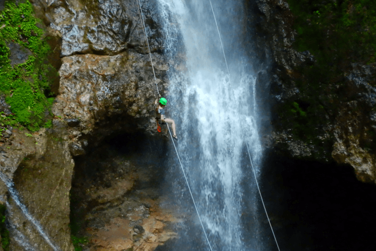LGBT+ Vacations — Tropical Haven
