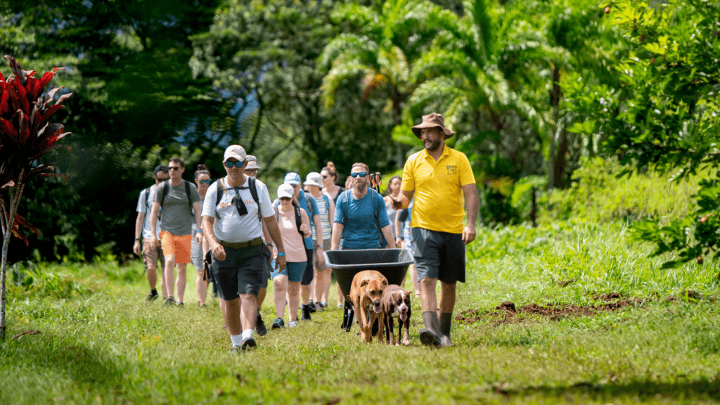 Farm-to-Table Culinary Tour