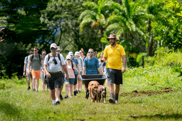 Farm-to-Table Culinary Tour