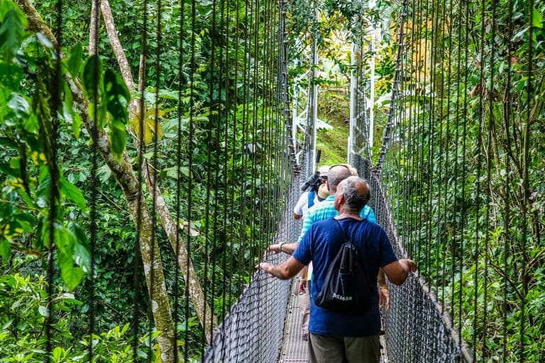 Hanging Bridges + Waterfall Rappelling