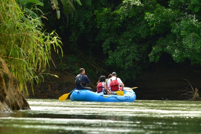 Budget Adventure — Rainforest and Beach
