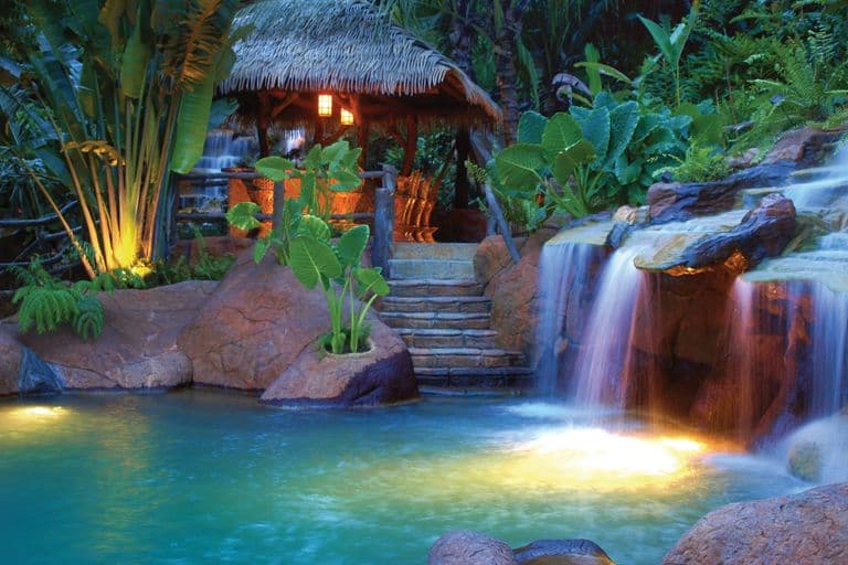 The Springs Resort Day Pass